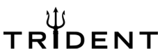 Trident LLC