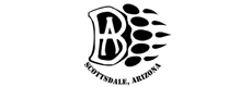 Bear Arms Firearms